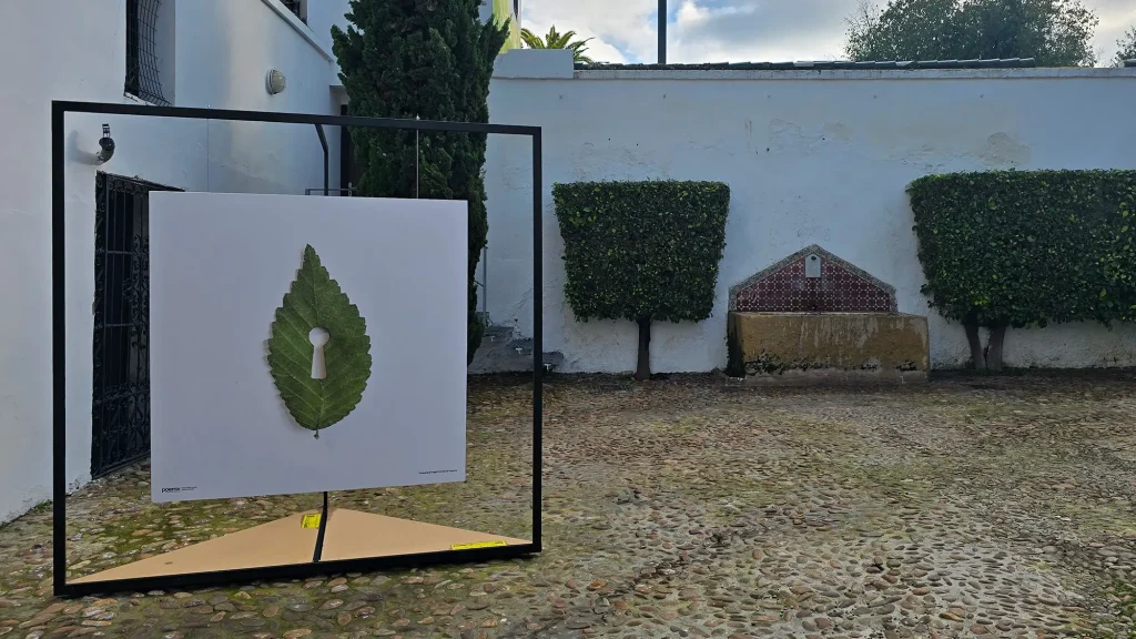 Marisa Maestre. / Poemx 2025