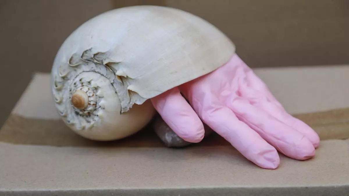 Claudia Frau. / Poemx 2025