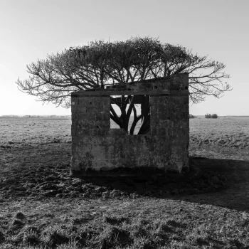 «Todos necesitamos un hogar» de Teodelina Detry