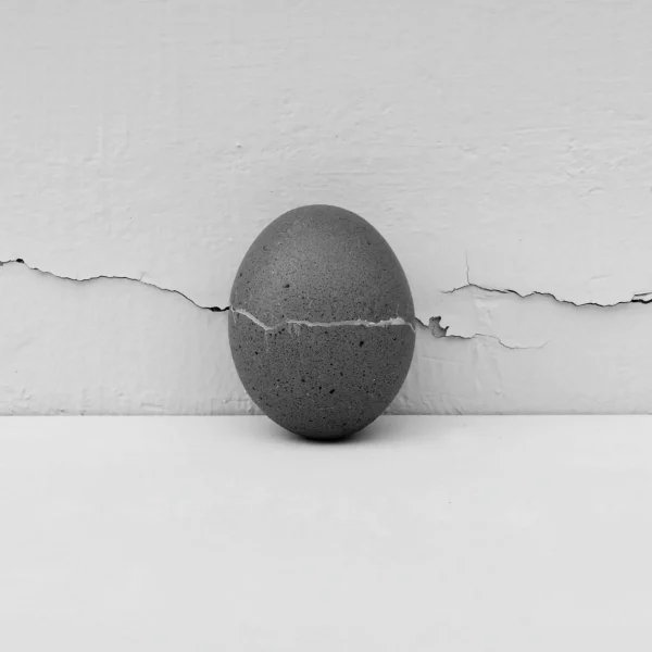 Marta Gracia Ruiz: Sin título.